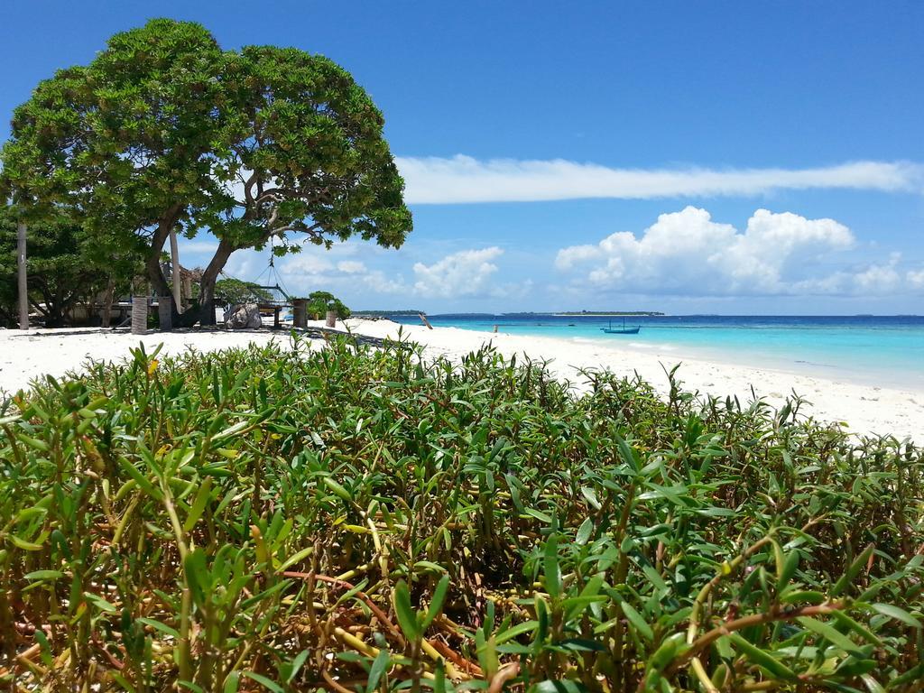 Lvis Blancura Hotel Dharavandhoo Exterior photo